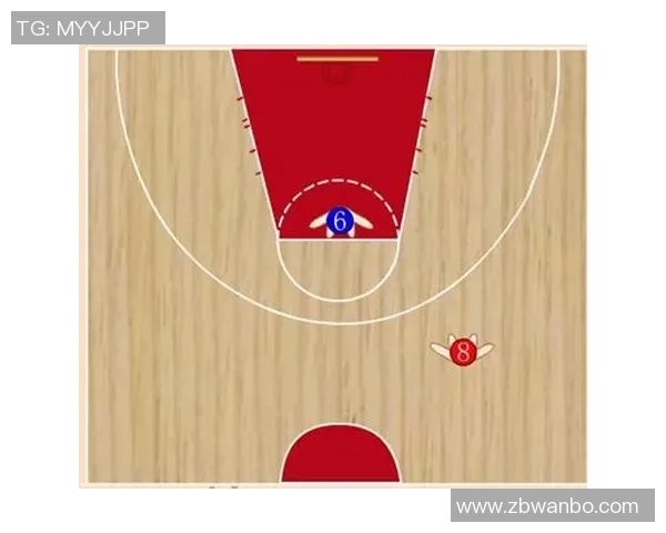 杭州羽毛球队快攻战术解析与深度剖析的全景视角